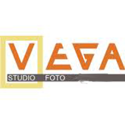 Vega Studio
